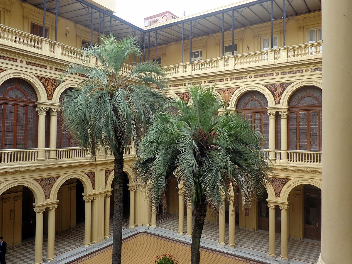 Palmeras en el Patio de las Palmeras de la Casa Rosada